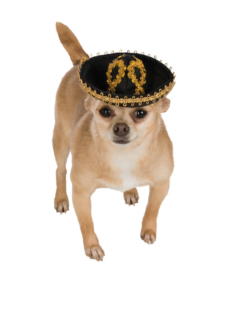 Rubies Pet Sombrero, Medium to Large, Gold and Black - Image 1